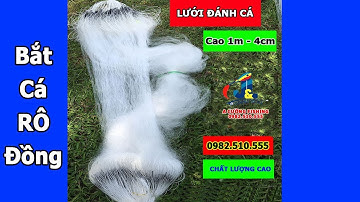 Lưới Bắt Cá Rô Đồng - Cá Mương .... Cao 1m2 Dài 150m Siêu Bén Cá