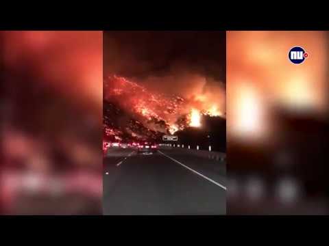 Video: Brandweer Van Sacramento Help Om Bang Donkies Uit Kalifornië Se Brand Te Red
