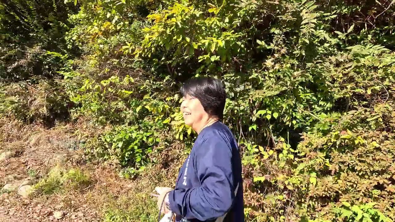 Jakkou in Temple Trip