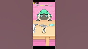 Hide And Seek : Cat 🐈 Escape Game | Level-5727 | Satisfying Gameplay #games #shorts #hideandseek