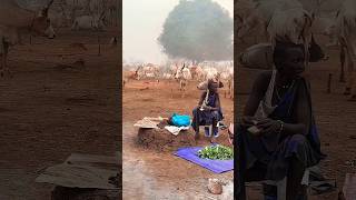 The way people in African villages live their lives #africa #usa #indonesia #hadzabetribe