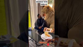 Dubai  King  Sheikh Nawab With White Tiger  Lion  White Tiger dubai shorts