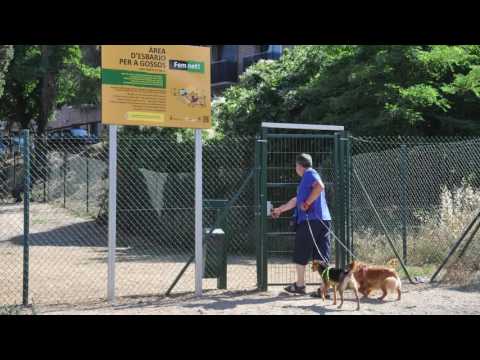 Vídeo: S'admeten gossos de Watergate Bay?