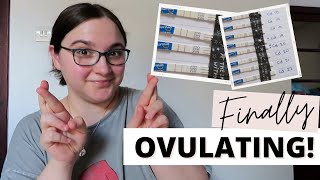 Late Ovulation after two attempts || TTC Baby #3 Cycle 16