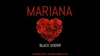 Watch Black Sherif Mariana video