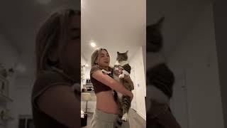 Cat NOT impressed with owners Dora impression