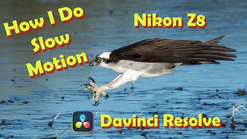 Davinci Resolve Slow Motion Tips