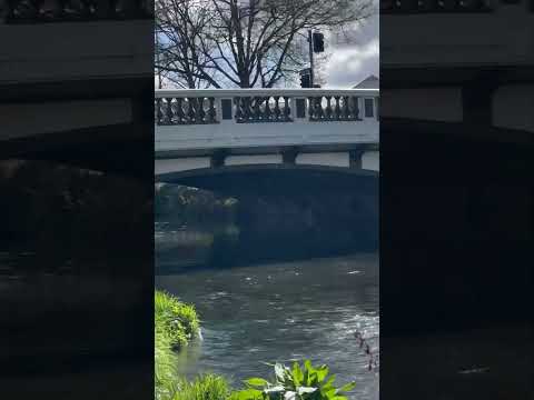 جولة في حديقة البوتانك كرايس چيرج نيوزيلندا