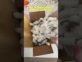Pack an order with me! Unedited Timelapse #shorts #pottery #smallbusiness