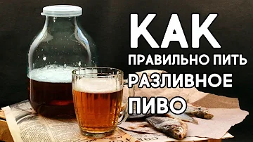 КАК ПРАВИЛЬНО ПИТЬ РАЗЛИВНОЕ ПИВО