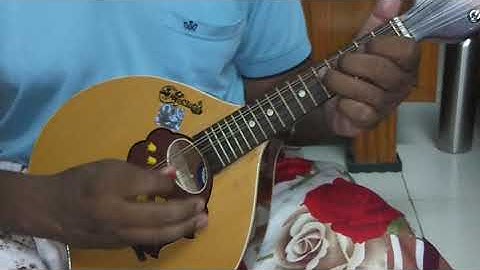 Mandolin. tutorials by Kabuli m. No. 9439920463
