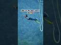 Living life one crazy leap at a time.#bungeejumping #explorenow #adventure #shortsfeed #explore #ad