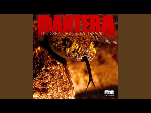 Pantera - Sandblasted Skin