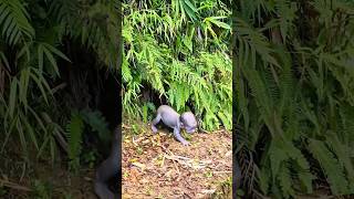 A Mischievous Ghost Freaked Me Out