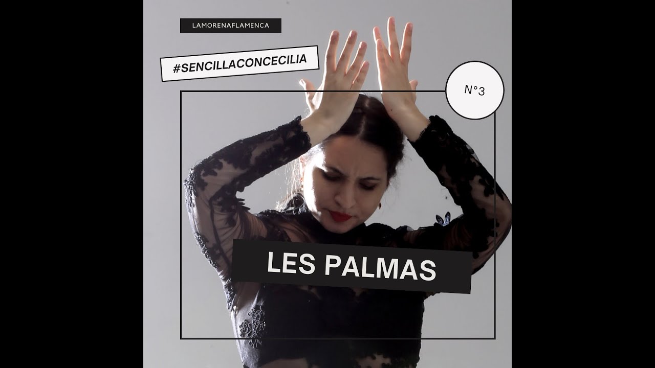 COURS DE FLAMENCO N°3 : Les Palmas | 