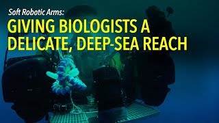 Soft Robotic Arms: Giving Biologists a Delicate, Deep-sea Reach