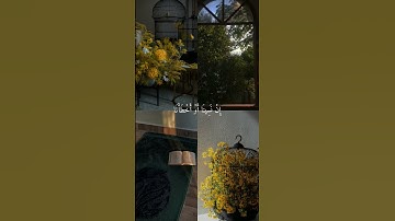 قرآن كريم #اكسبلور #بودكاست #لايك #كلام_من_ذهب #راحة_نفسية #قرآن #قران_كريم