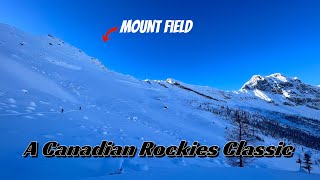 Skiing Mt Field | Backcountry Skiing