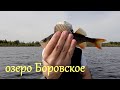 озеро Боровское|Нижегородская обл.|Часть первая