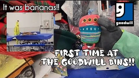 My First Time at the Goodwill Bins! - Shop Along With Me - Goodwill Thrift Store