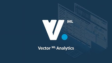 Vector ML Platform Demo
