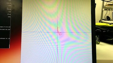 Erlang Final Project- Birds Flock Simulation