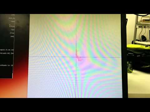 Erlang Final Project- Birds Flock Simulation
