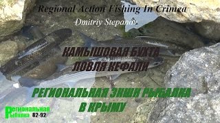 МОРСКАЯ РЫБАЛКА В КРЫМУ,КАМЫШОВАЯ БУХТА,КЕФАЛЬ(Catching mullet in Sevastopol,in Kamyshovaya Bay.Проэкт Региональная экшн рыбалка в Крыму.Ловля кефали в Севастополе.в камышовой..., 2017-01-22T17:14:27.000Z)