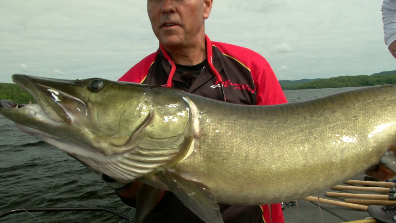 The musky hunter Clearance