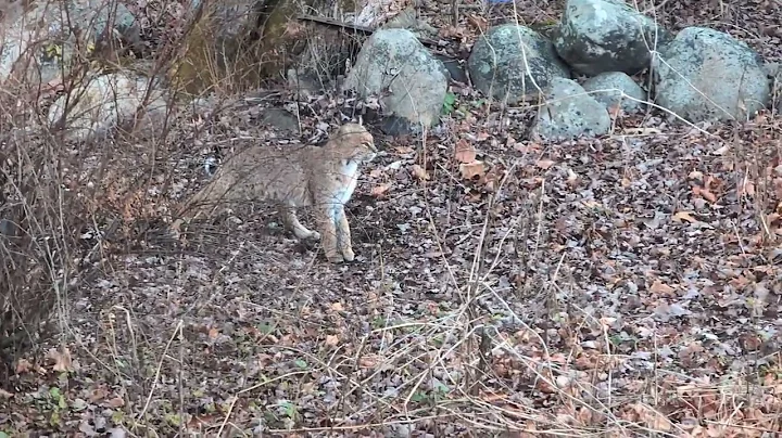 PXL 20251128 122140784