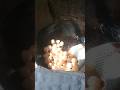 #panipuri #unlimitedpanipuri