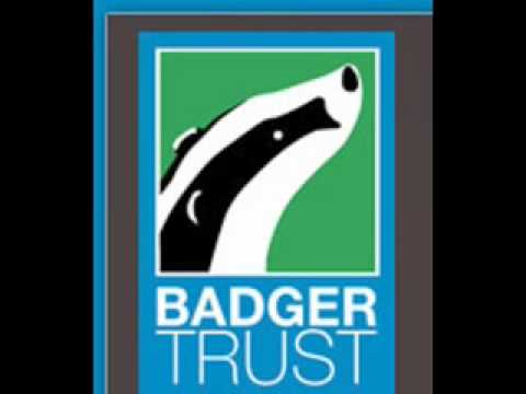 Brian May interview BBC Radio Wales on Welsh Badger Court Ruling 13 July 2010