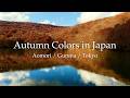 Autumn Colors in Japan 4K / Aomori / Gunma / Tokyo