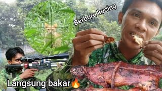 BERBURU KUCING LIAR & AYAM HUTAN
