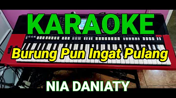 Burung Pun Ingat Pulang Karaoke - Nia Daniaty