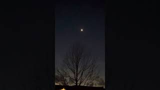 Guy Witnessing a Total Eclipse During a Solar Spectacle