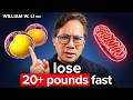 Fastest Protocol to Burn VISCERAL FAT I Dr. William Li