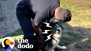 Guy Frees Husky Who’d Never Left His Own Backyard | The Dodo