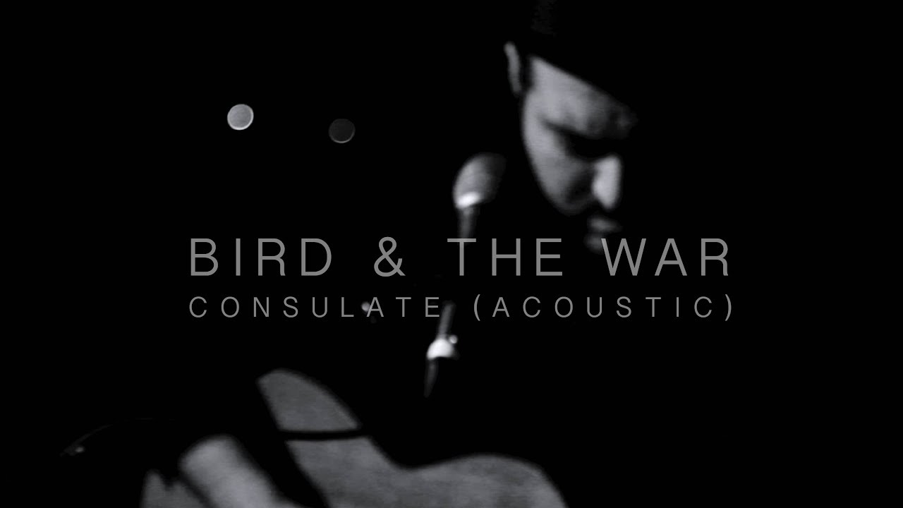 BIRD & THE WAR - CONSULATE (ACOUSTIC)