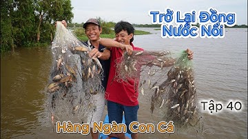 cuộc sống " Săn B.ắt Mùa Nước Nổi " năm 2025 - Tập 40 | Gấc Quê
