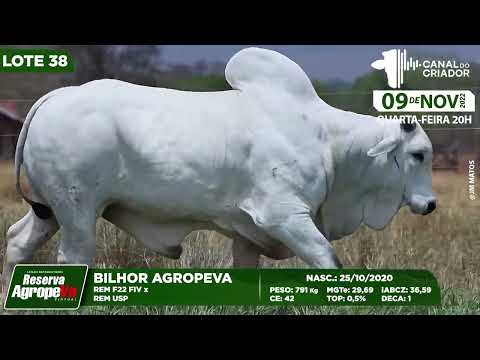 LOTE 38 CPRO 12468