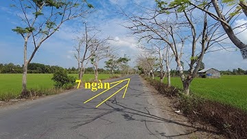 cần thơ hậu giang quốc lộ 61C/đầu đường vào chợ bảy ngàn / MTL chia sẽ