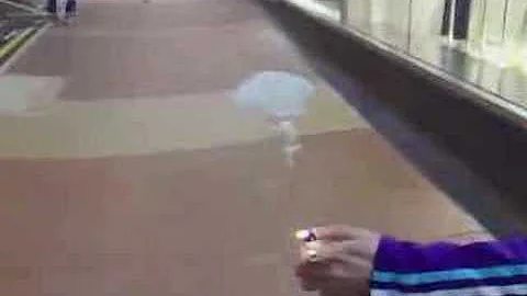 Arthur Chan's Crazy Street Magic !