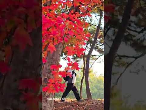 만추의 갈맷길 #부산의아름다운길 #갈맷길 #걷기여행 #트레킹가이드 #댠풍 #강서구맛집
