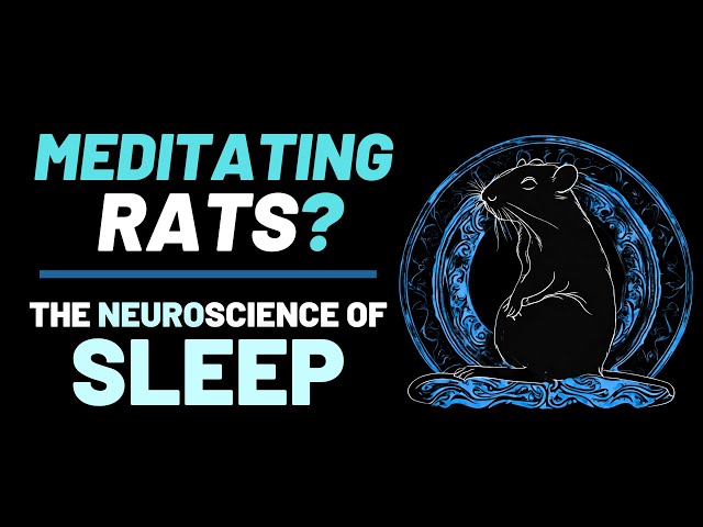 The Neuroscience of Mindfulness - What exactly happens to your brain when  you meditate. 