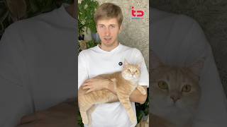 Можно ли уволить руководителя, если он открыл больничный именно в день увольнения? 🤔