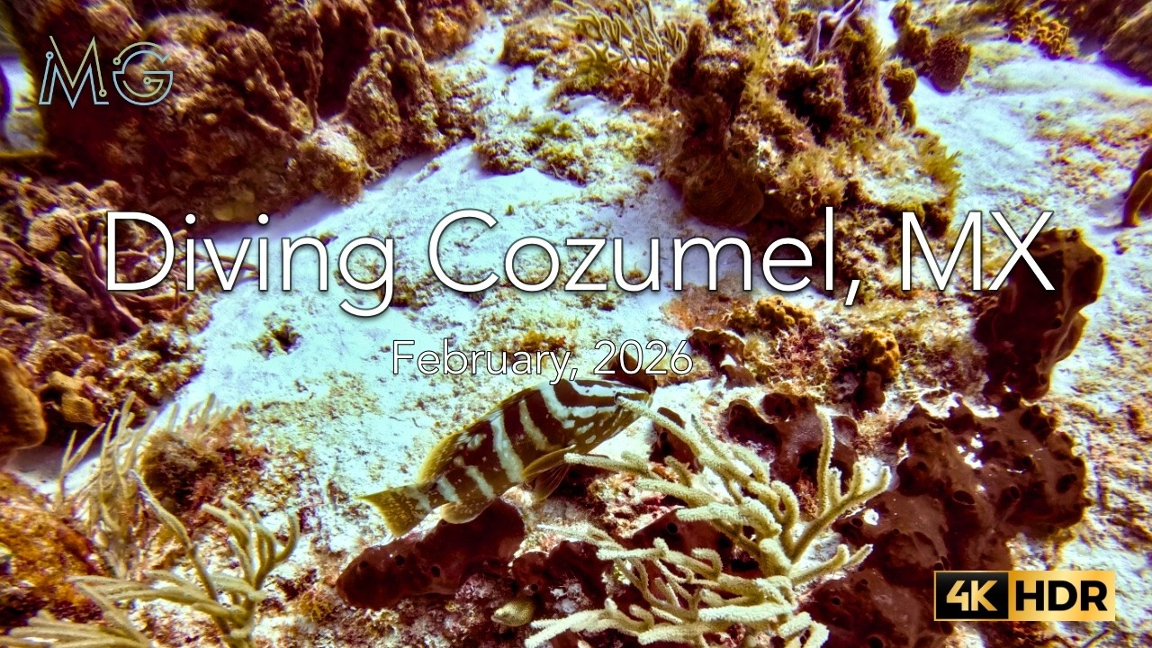 Diving Cozumel Feb. 2026 - 4K HDR
