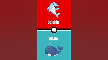 What would you rather? | Episode 6  #quiz #subscribe #shorts