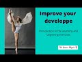 How to improve your developpe - exercises for higher extensions