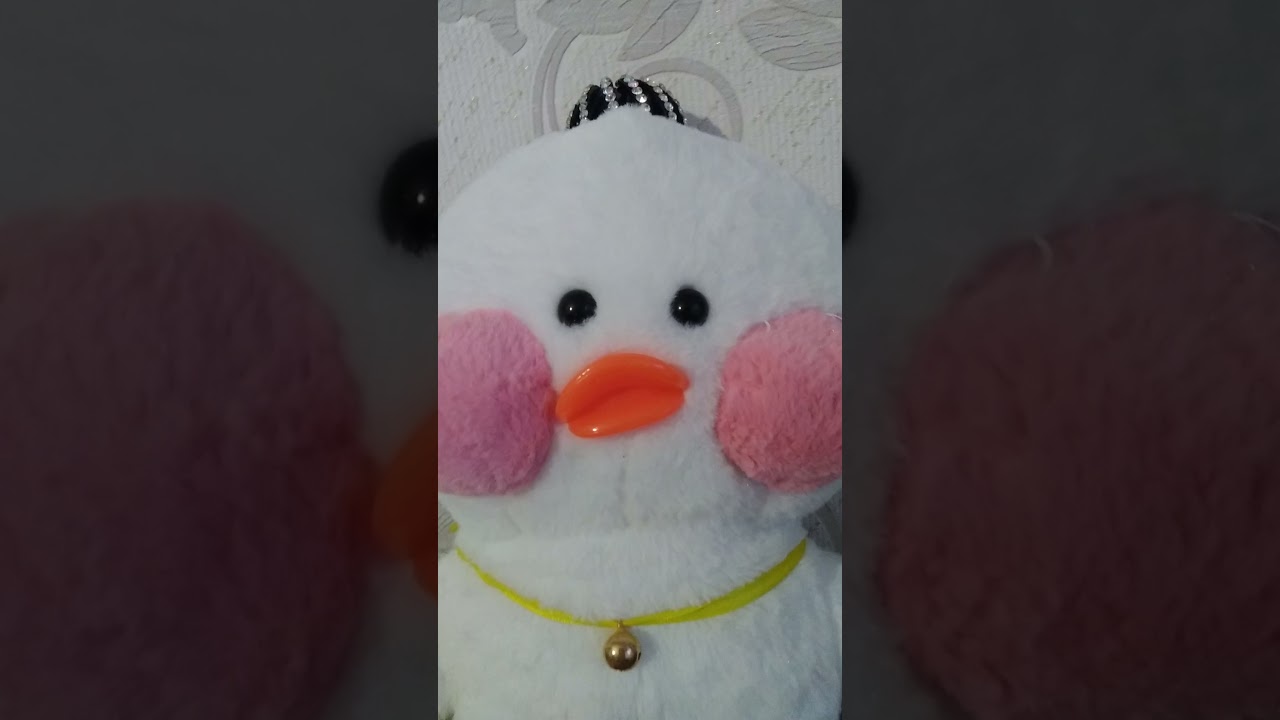 меме про утку мотю я купила ей обатки /обзор / 💗💗💗💗🥰 - YouTube